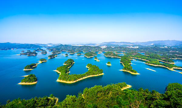 旅游专列来啦！你最想坐上哪一趟