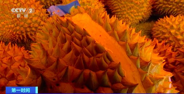 降价了！低至20元一个！每斤便宜→