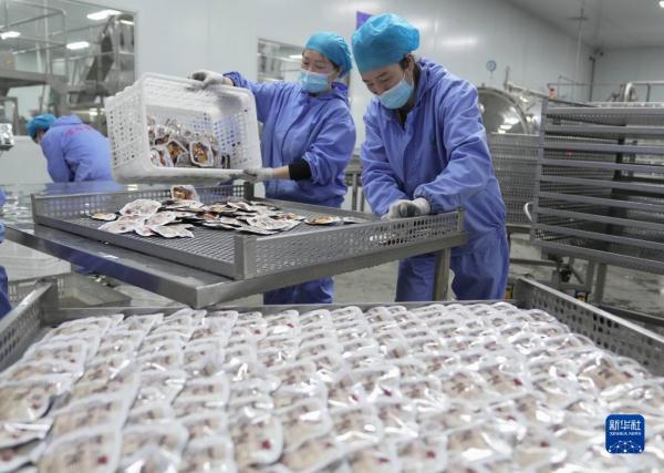 河北青龙：延伸板栗产业链助农增收