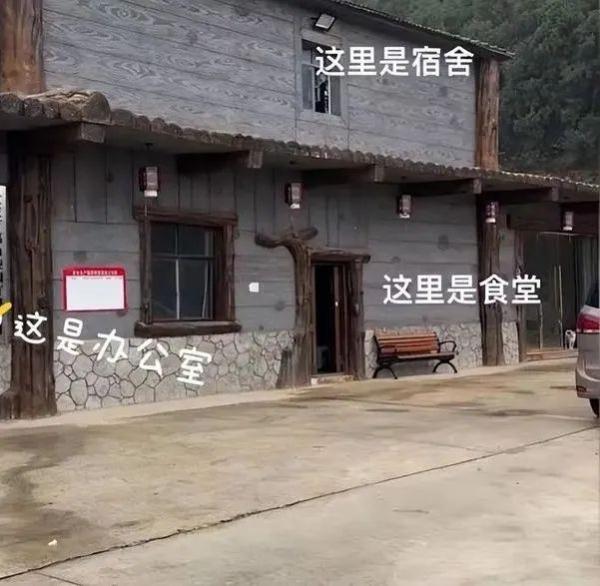 “毕业后，我养了一头猪......”