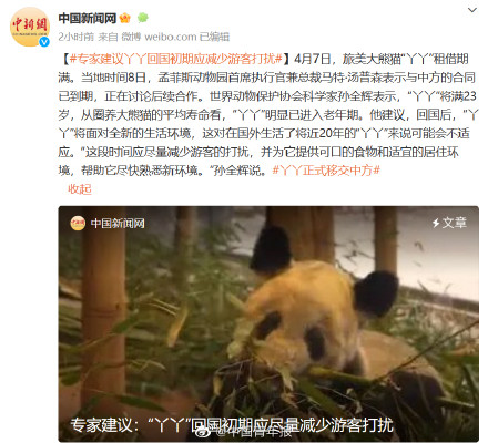 专家建议丫丫回国初期应减少打扰