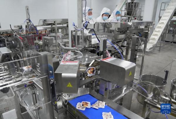 河北青龙：延伸板栗产业链助农增收