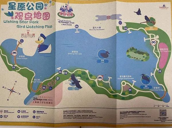 收藏地图！除了玲娜贝儿，来上海迪士尼还能遇见它们→