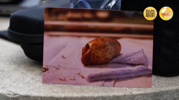 破纪录！全球最长寿朱鹮平平37岁啦！