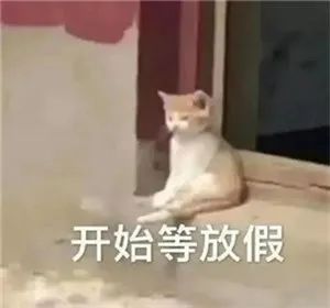 疯狂！暴涨811%