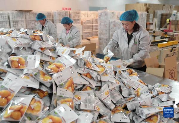 河北青龙：延伸板栗产业链助农增收