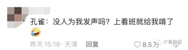 把“同事”吃了！山东一动物园老虎吃了孔雀