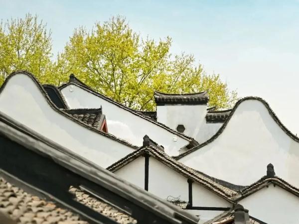 【乐游】申城这些古镇老街的春日，正踏着绿意而来