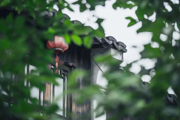 【乐游】申城这些古镇老街的春日，正踏着绿意而来