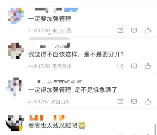 凭实力“加餐”？一动物园老虎吃了孔雀！网友：吃“同事”可不好
