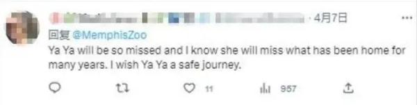 “丫丫”正式移交中方！还有哪些大熊猫在“出差”？