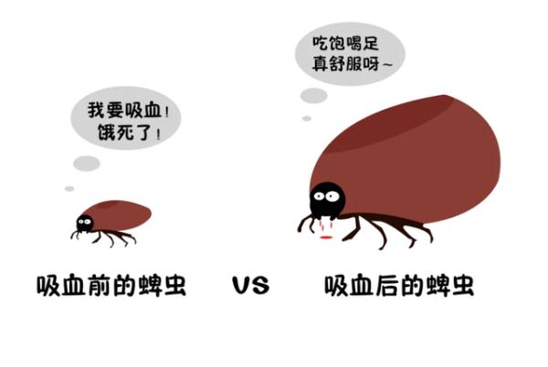 严重可致命！江苏已发现