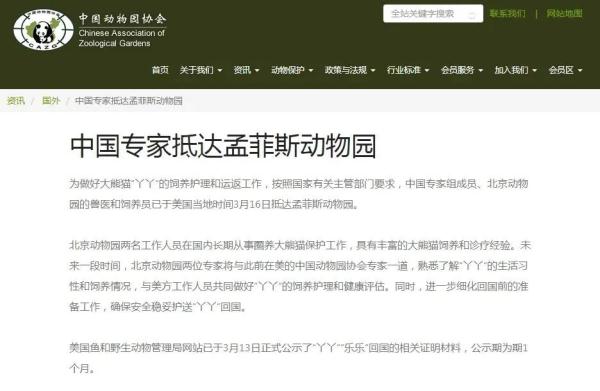 丫丫正式移交中方！孟菲斯动物园办告别派对