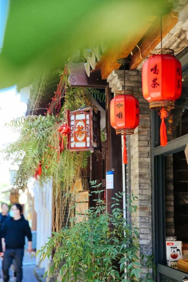 【乐游】申城这些古镇老街的春日，正踏着绿意而来
