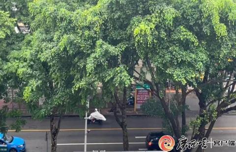 回南天→冲破35℃→冷空气……广西天气真的很“跌宕”了！