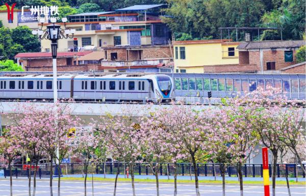 广州这些“地上铁大片”，美到让人觉得这么多年地铁白坐！