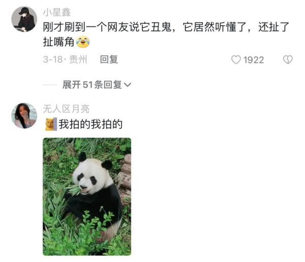 海浜耍宝、星宝犯懒，贵阳这两只大熊猫超萌！网友：可能是全国“性价比”最高的熊猫馆