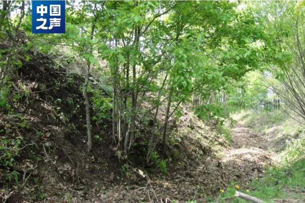 高山密林间，他们这样“找长城”→