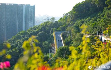 深港跨境户外徒步掀起新热潮