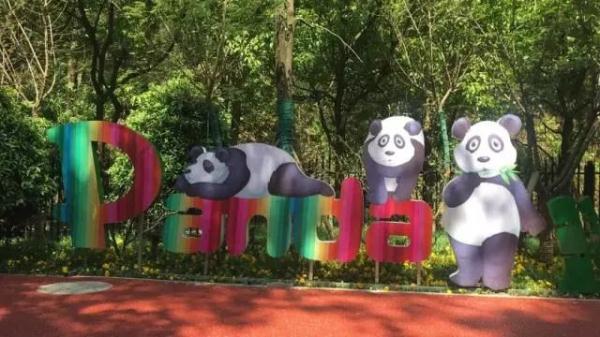 海浜耍宝、星宝犯懒，贵阳这两只大熊猫超萌！网友：可能是全国“性价比”最高的熊猫馆