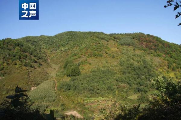 高山密林间，他们这样“找长城”→