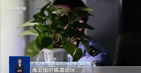 “稳赚不赔”?“一去不回”! “海外高薪招聘”需警惕 “稳赚不赔”?“一去不回”! “海外高薪招聘”需警惕