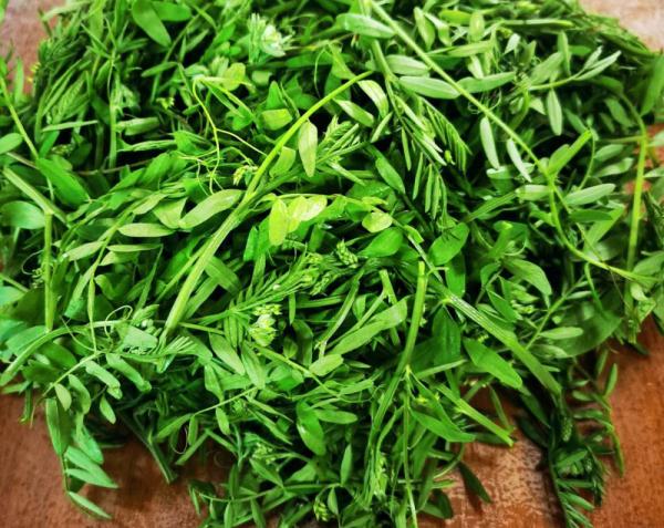 苏东坡最喜欢的“元修菜”，究竟是啥味道？