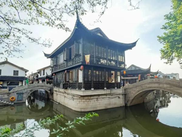 【乐游】申城这些古镇老街的春日，正踏着绿意而来