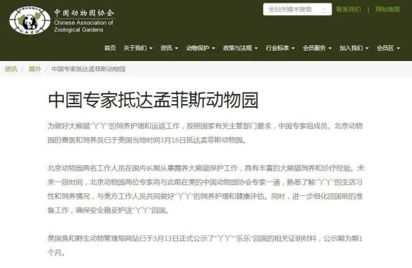 “丫丫”正式移交中方！还有哪些大熊猫在“出差”？