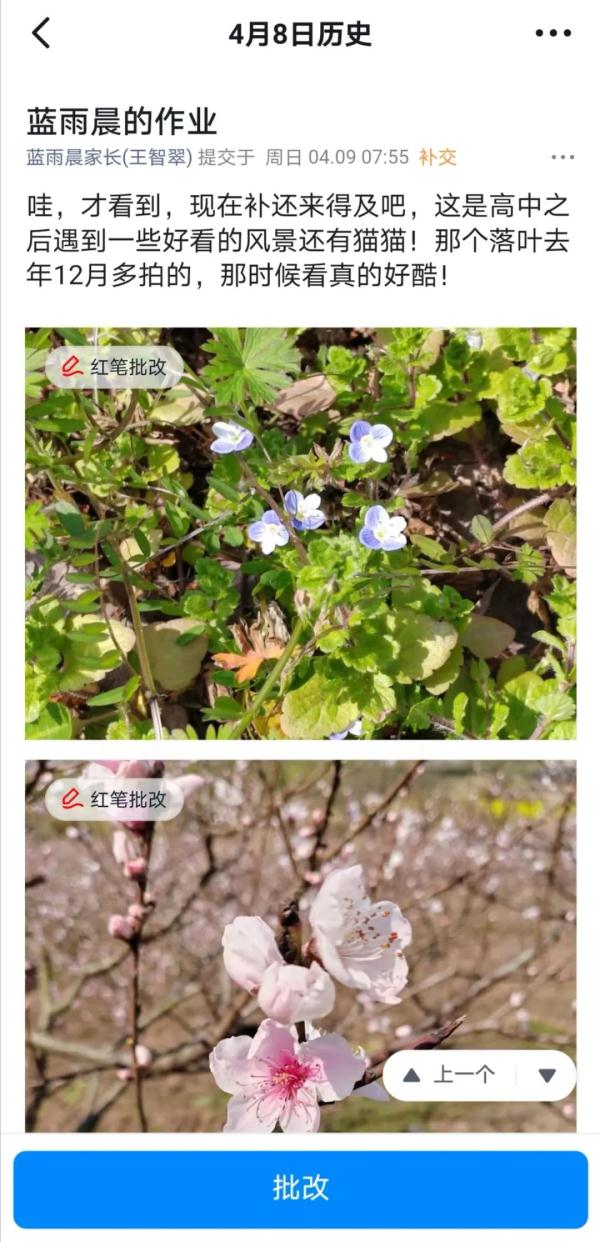 当老师误把作业发到上一届毕业群里，同学们的反应亮了……