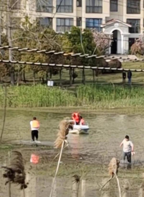 痛心！男童景区意外落水，父亲下水营救不幸溺亡！这份安全指南能救命