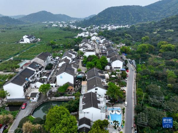 四季中国——树山村的“驻村规划师”