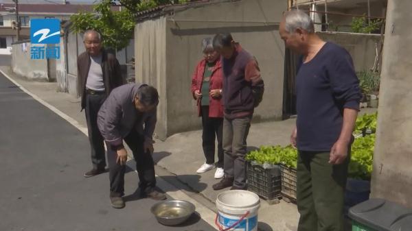 威风凛凛！浙江一地惊现头上长角的神秘物种，专家提醒…