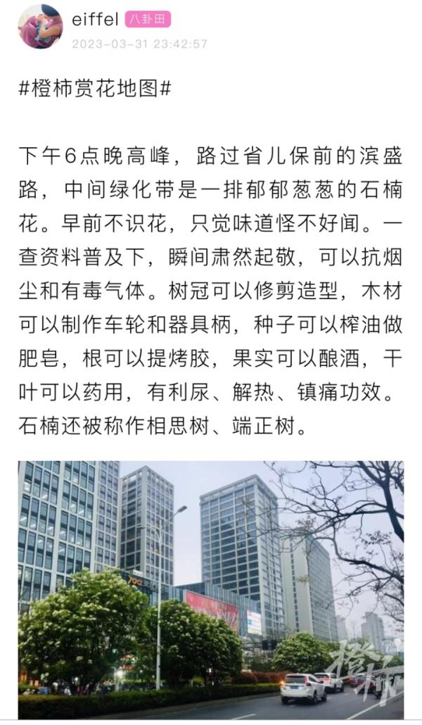 连上5个热搜！这股"不可描述"的味道又火了