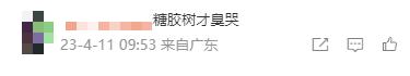 冲上热搜！石楠花又双叒开了，广东也有同款？专家释疑为何种植