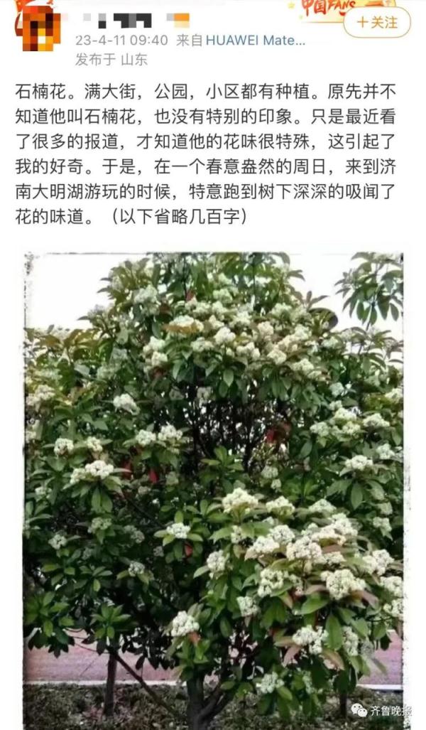 连上5个热搜！这股"不可描述"的味道又火了