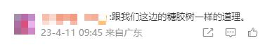 冲上热搜！石楠花又双叒开了，广东也有同款？专家释疑为何种植