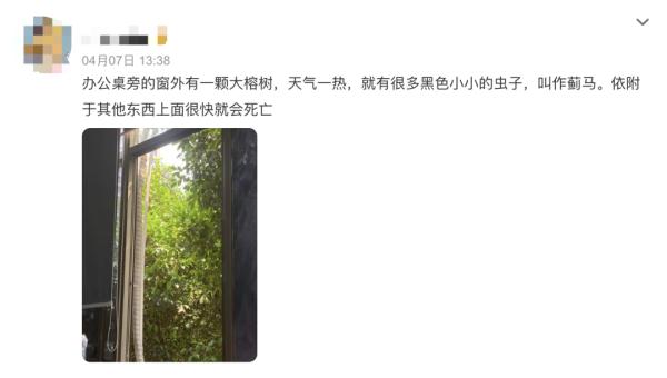 广东街坊注意！最近出街尽量别穿这两种颜色的衣服