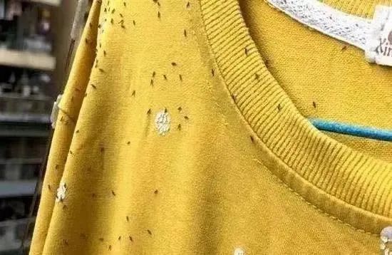 广东街坊注意！最近出街尽量别穿这两种颜色的衣服