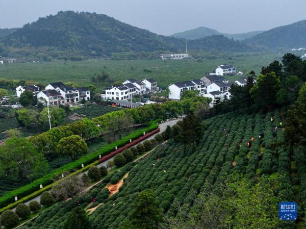 四季中国——树山村的“驻村规划师”