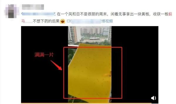 广东街坊注意！最近出街尽量别穿这两种颜色的衣服