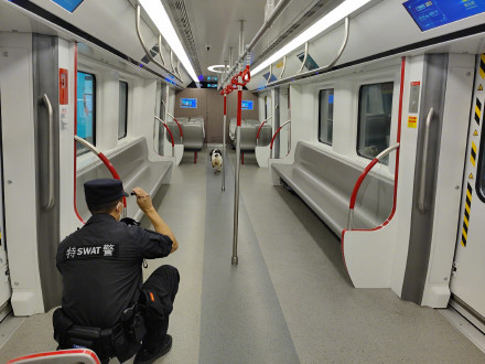 “汪汪队”再get新技能！广州警犬化身“移动安检机”守护市民出行安全
