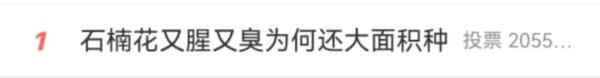 石楠花被“骂”上了热搜！