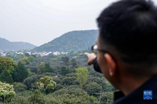 四季中国——树山村的“驻村规划师”