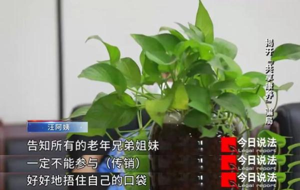 受害老人被这个“养老投资项目”榨干毕生积蓄，1400多人被骗，涉案金额2000多万元……
