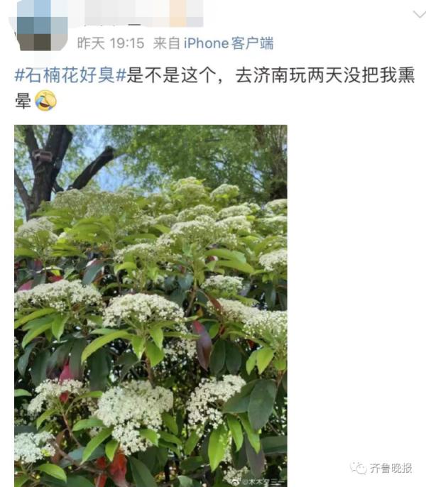 连上5个热搜！这股"不可描述"的味道又火了