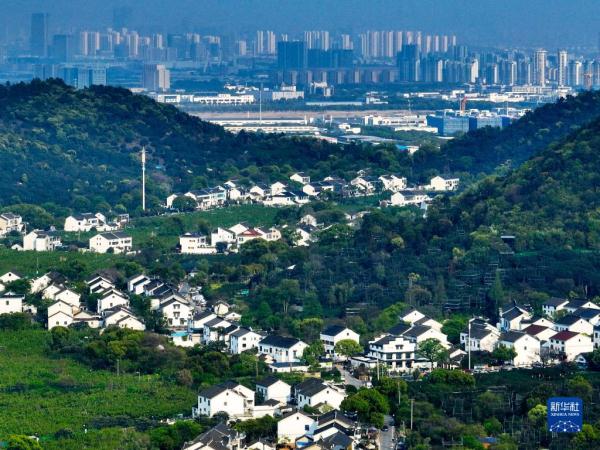 四季中国——树山村的“驻村规划师”