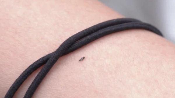 广东街坊注意！最近出街尽量别穿这两种颜色的衣服