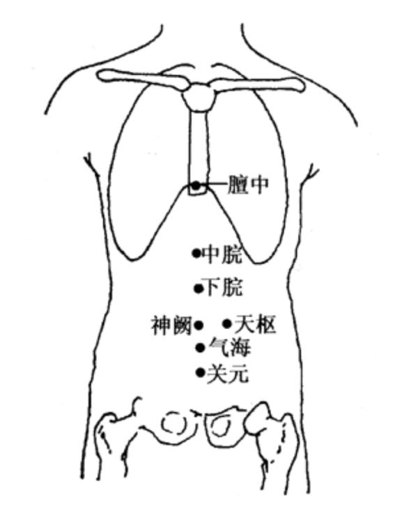 五脏养生有“搭档”，一起保健效果更好！