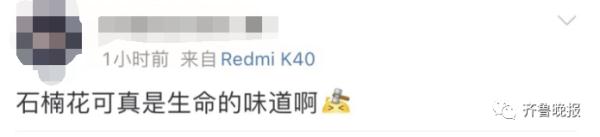 连上5个热搜！这股"不可描述"的味道又火了